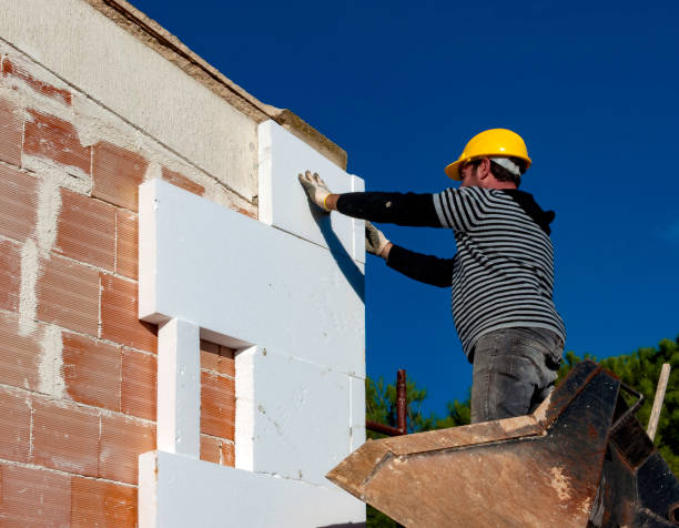 Best Insulation Maintenance and Repair in Taylor Creek, OH