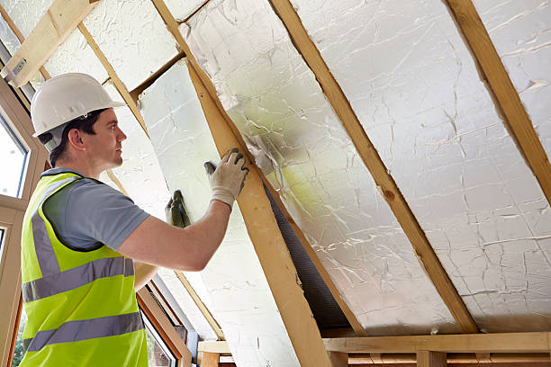 Best Insulation Maintenance and Repair in Taylor Creek, OH